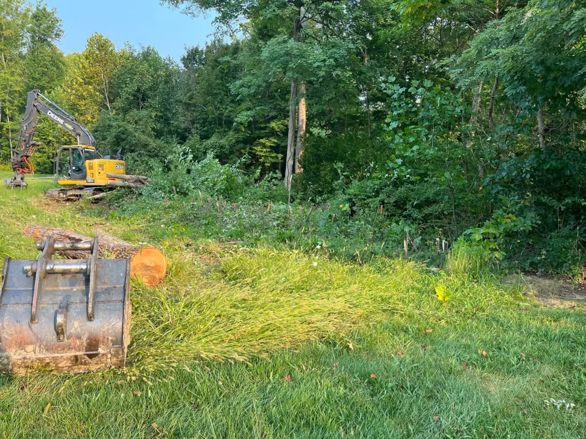 An excavator bucket parked in tall brush at a wooded clearing site